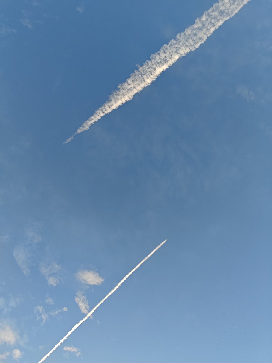 黒|沢 tweet media
