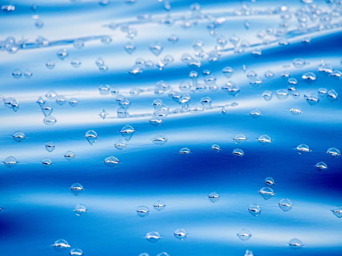 SailorsforSea's tweet image. Meet the ocean’s tiny drifters: the by-the-wind sailors.💨

#VelellaVelella are small hydrozoans that travel the seas powered entirely by the wind. Their diagonal little sail catches the breeze + carries them across the surface until shifting winds guide them ashore! 

#FunFact