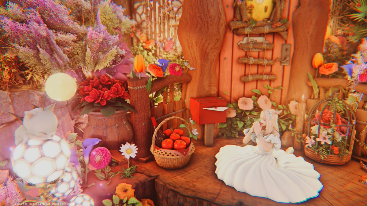 miumiu_nshm's tweet image. 今日も楽しかった
おやすみなさい🍎