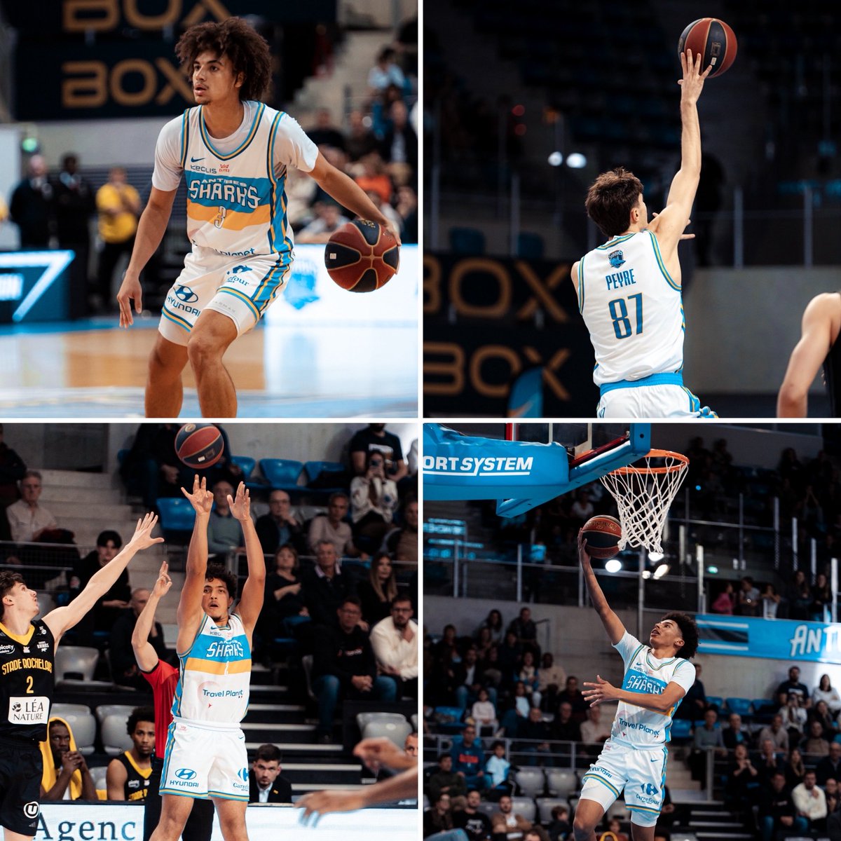 Antibes Sharks tweet media