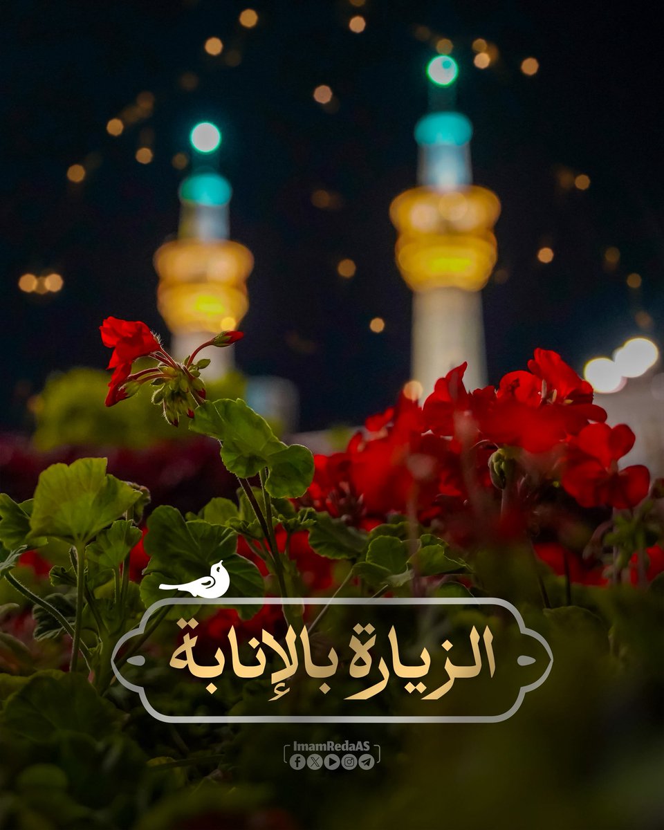 ImamRedaAS's tweet photo. ✨ #الزيارة_بالإنابة 

💌 هل اشتاق قلبك الرضوي للزيارة؟ 

🍃 اكتب اسمك للزيارة بالإنابة مع عمل منشن لأحبتك، ثم انشر المنشور على حب الإمام الرؤوف عليه السلام https://t.co/AWy8TSb2l3