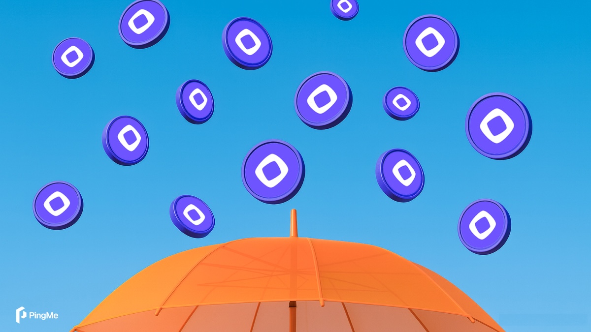 PingMe_xyz's tweet image. $MON airdrop you say?

PingMe made the list, as the hero payment protocol powering seamless stablecoin payments on @monad!  

With Monad mainnet around the corner, we’re giving away $1,000 worth of $MON to 10 lucky winners⚡️

To enter:
1️⃣ Like + RT
2️⃣ Follow @PingMe_xyz
3️⃣ Tag 3…