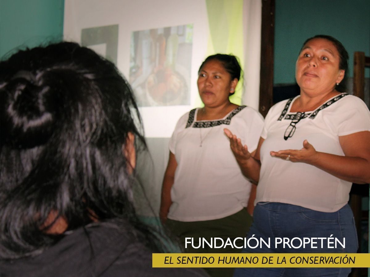 ProPeten's tweet photo. ¿Cómo enfrentamos juntos los retos de conservar la naturaleza y producir de forma sostenible? 🌱 BioitzáI y FCD intercambiaron experiencias en Succotz, Belice, con apoyo de WWF, la Agencia Sueca de Cooperación  y ProPetén. La cooperación abre caminos de aprendizaje mutuo. https://t.co/vDSd5s2x0V