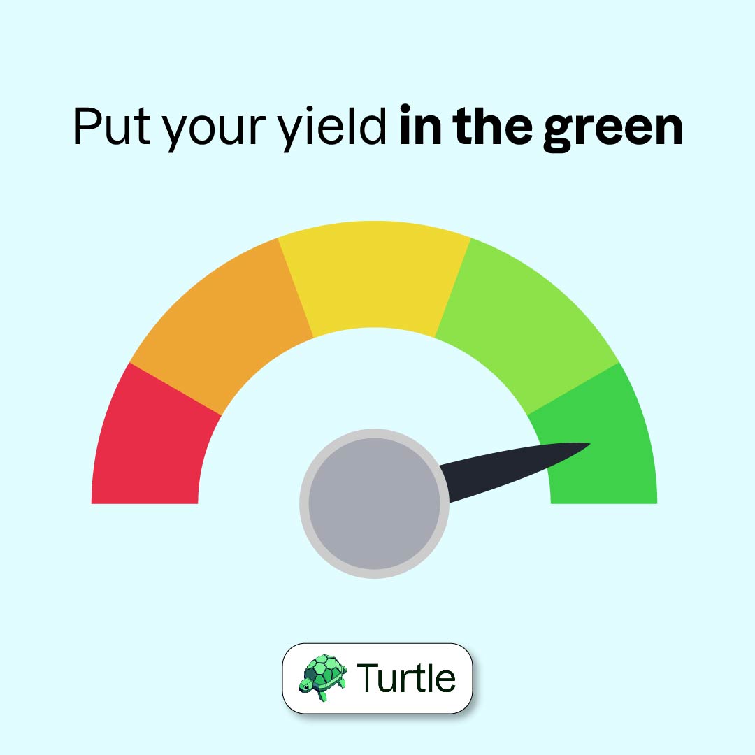 turtle_app tweet media