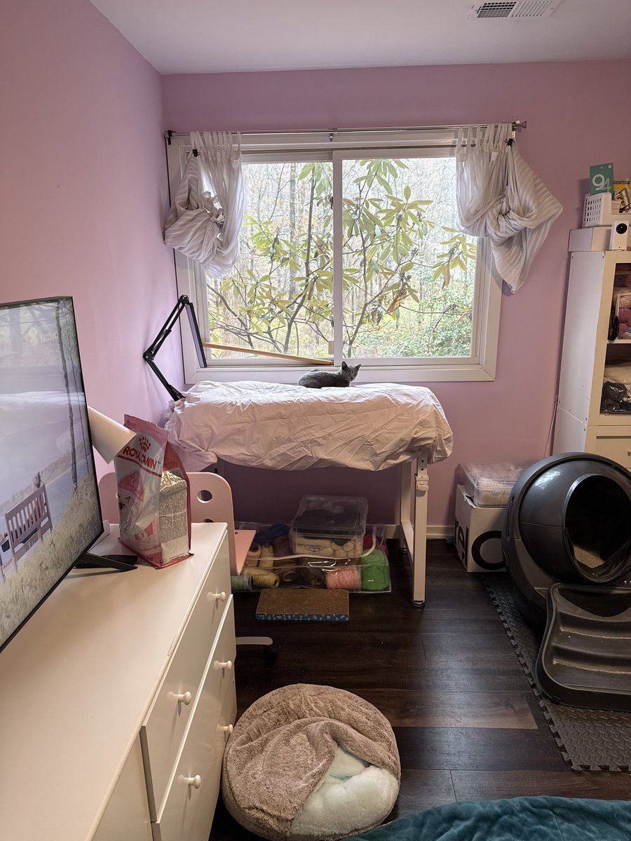 drpull's tweet image. Waiting for her big bro (from another mo) to get back from the vet.