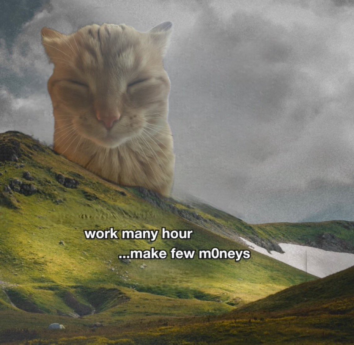 gakstercat's tweet image. 