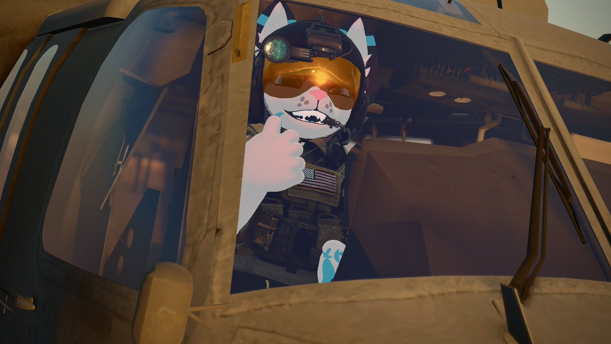 MarviWuff's tweet image. When you’re being mean to the transport pilot on the enemy team, this is who you’re being mean to 🥺

📸 @ItsLunarArray
