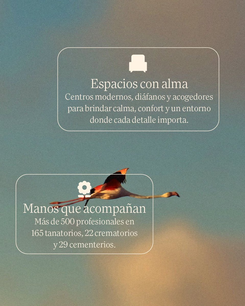 De Funespaña a Enalta, hemos evolucionado con un propósito claro: honrar cada vida y cada historia. 

Hoy somos líderes en servicios conmemorativos, celebrando la singularidad de cada persona y acompañando a miles de familias.

Descubre nuestras cifras:

#corporativo #SomosEnalta