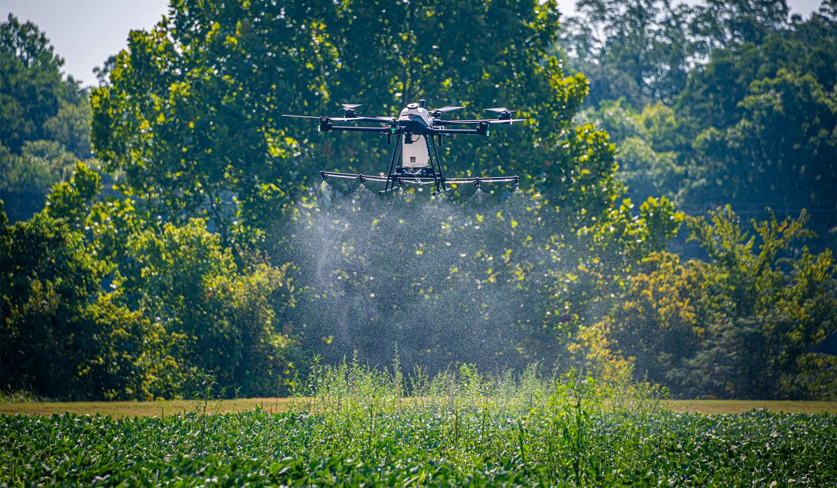 Mississippi State Newsroom tweet media