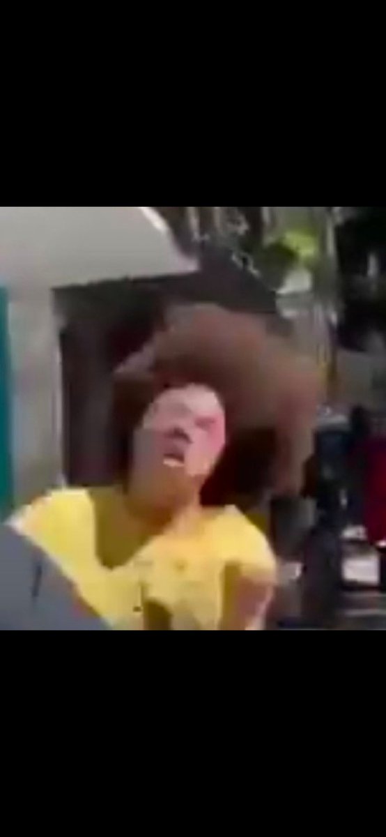 MoisesTemplario tweet media