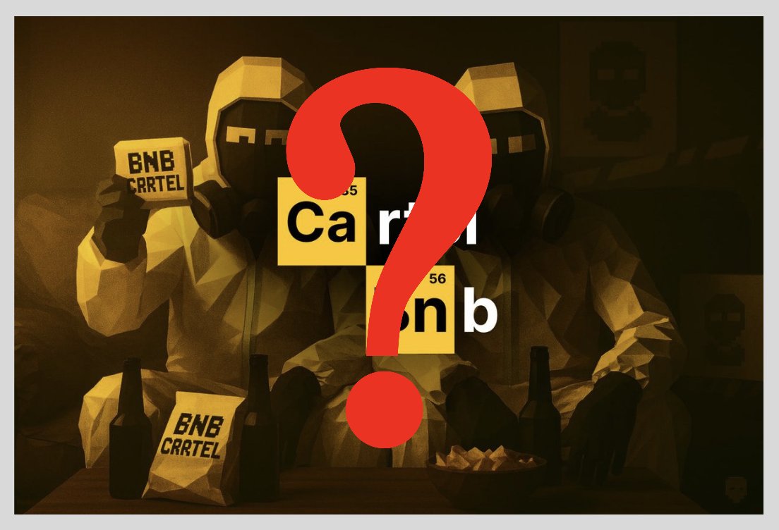 BNB Cartel was a rug ?

They disappeared overnight...

Their Twitter account, website &amp; token were deleted

Just when they had launched the first access to their game

One of the games I was most excited about is dead

If anyone has any information, I'd love to hear about it