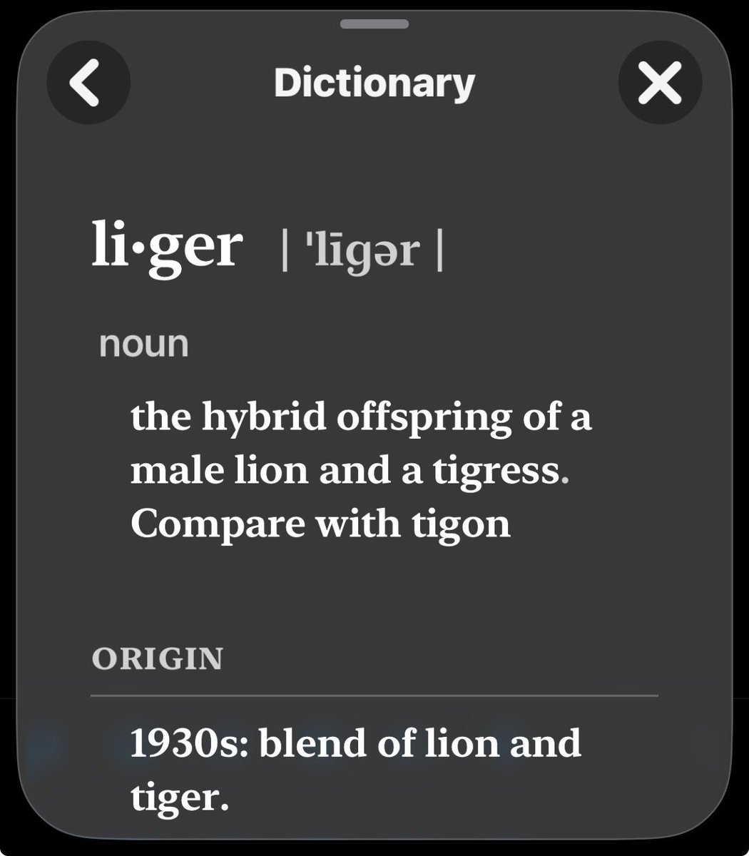 xPhoenix tweet media