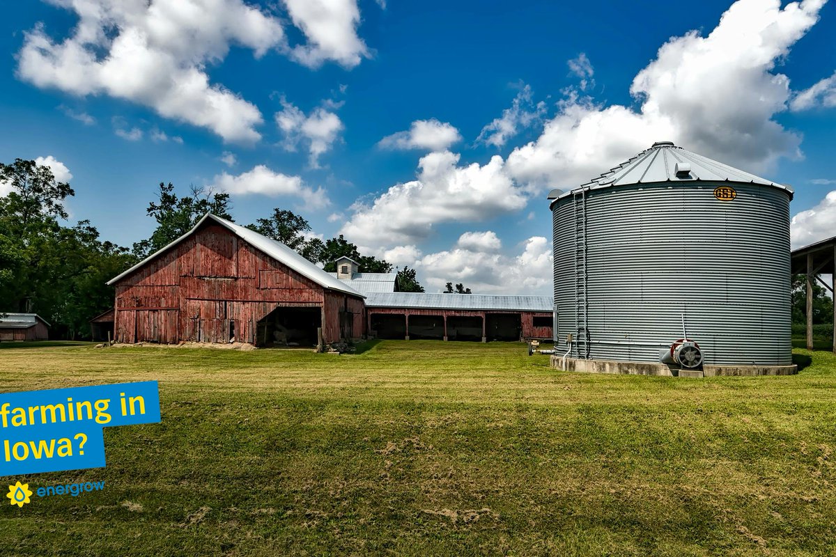 Farming in Iowa?
You could get up to $25,000 through the <a href="/ChooseIowa/">Choose Iowa</a>  Value-Added Grant to start crushing or roasting soybeans on-farm in 2026 or 2027.
Energrow will help you apply - no cost, no catch!
#ChooseIowa #AddValue #Energrow #crushlocal 
<a href="/Iowa/">Iowa Hawkeyes</a> Soybean Association