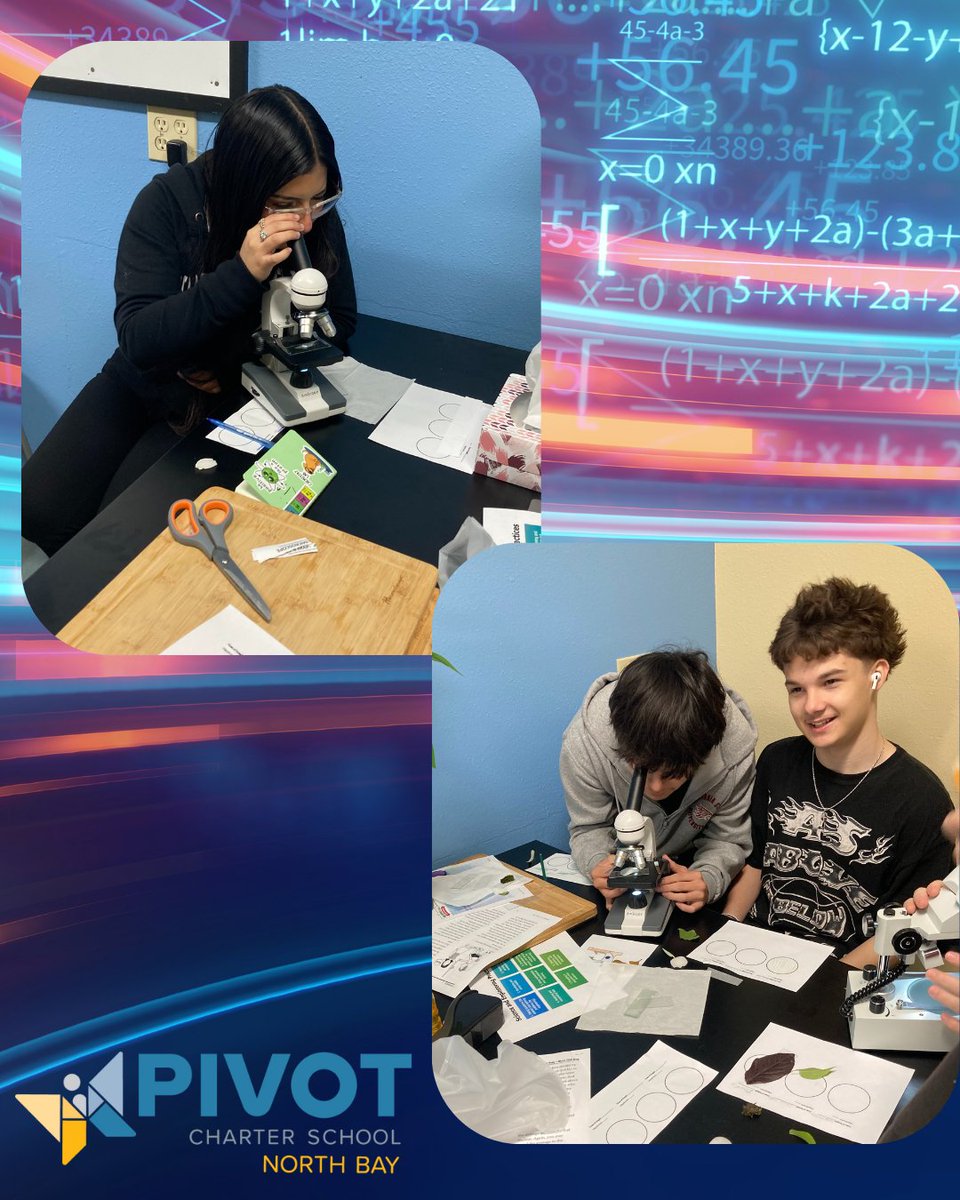PivotNorthBay's tweet image. 🔬 #PivotNorthBay high schoolers dove into microscopy during our onsite lab! Students learned the parts of a microscope and collected specimens from around campus to examine up close. 👀✨

#HighSchoolScience #MicroscopeLab #HandsOnLearning #STEMEducation #ScienceInAction