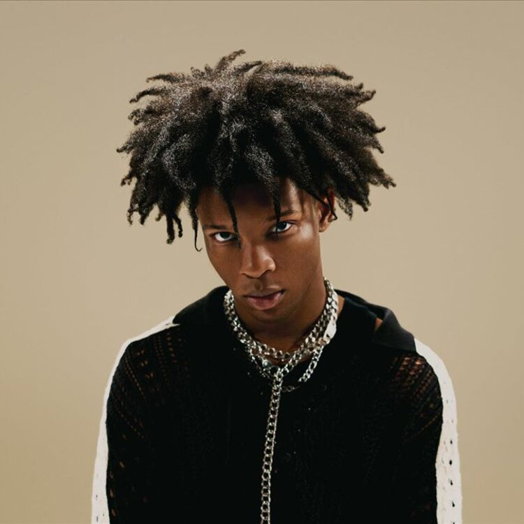 TMZ says singer D4vd is being treated as a suspect after a teenage girl was discovered dead in the trunk of a car registered to him.