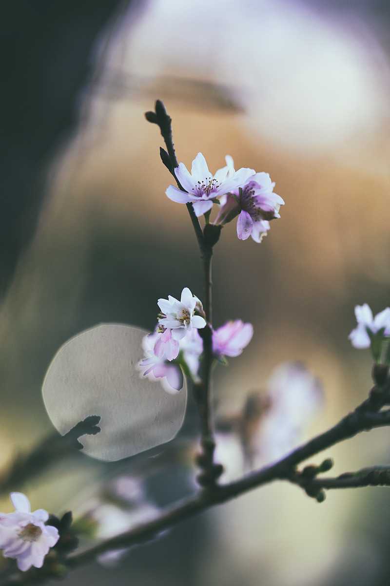 Heute beim Morgenspaziergang.