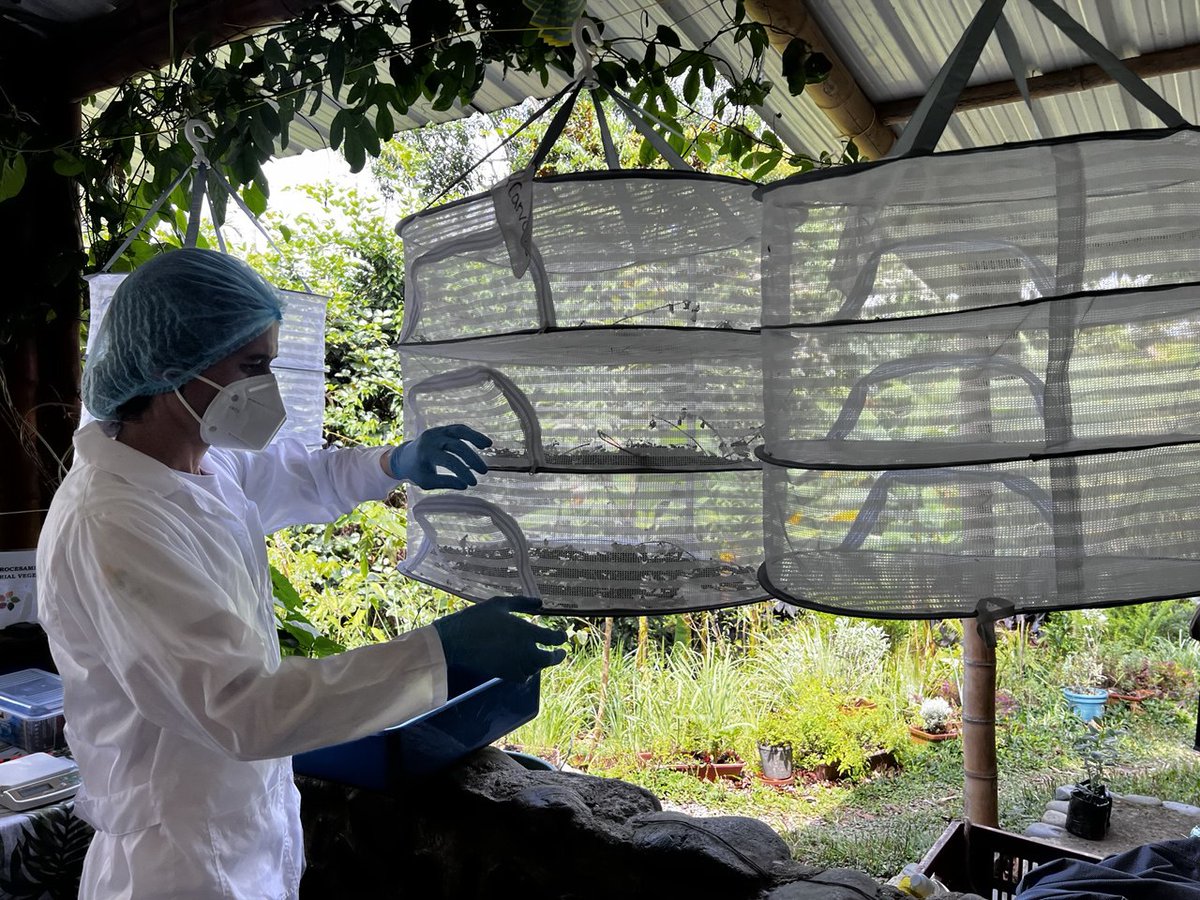 ONU Colombia 🇺🇳 tweet media