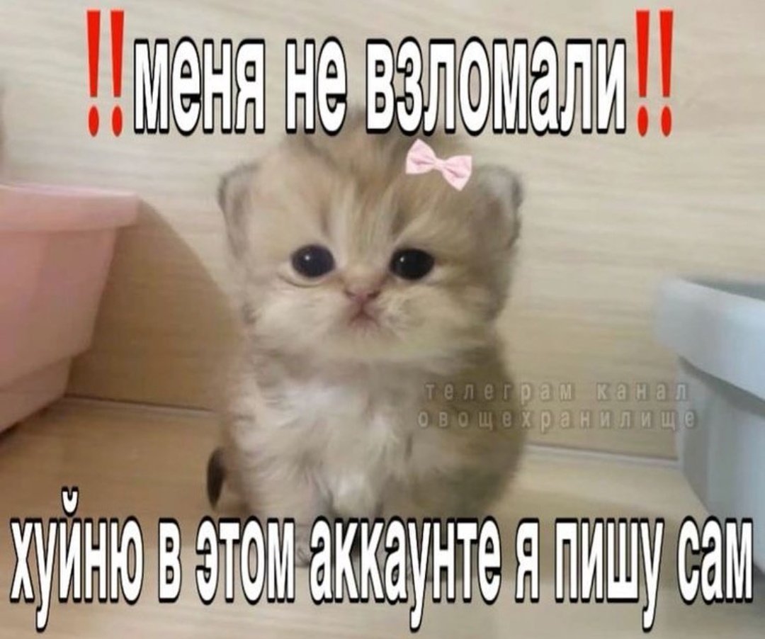 Старая и злая |-/ tweet media