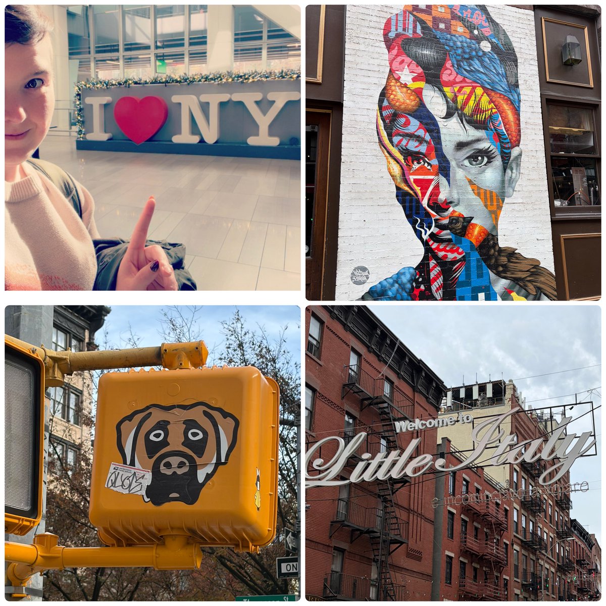 GeometricRabbit's tweet image. Headed home from the @ncacensorship gala feeling inspired and resilient as well as encouraged by how many folks are engaged in ensuring #FreePeopleReadFreely. 

#hopeful #LibraryLife #travel