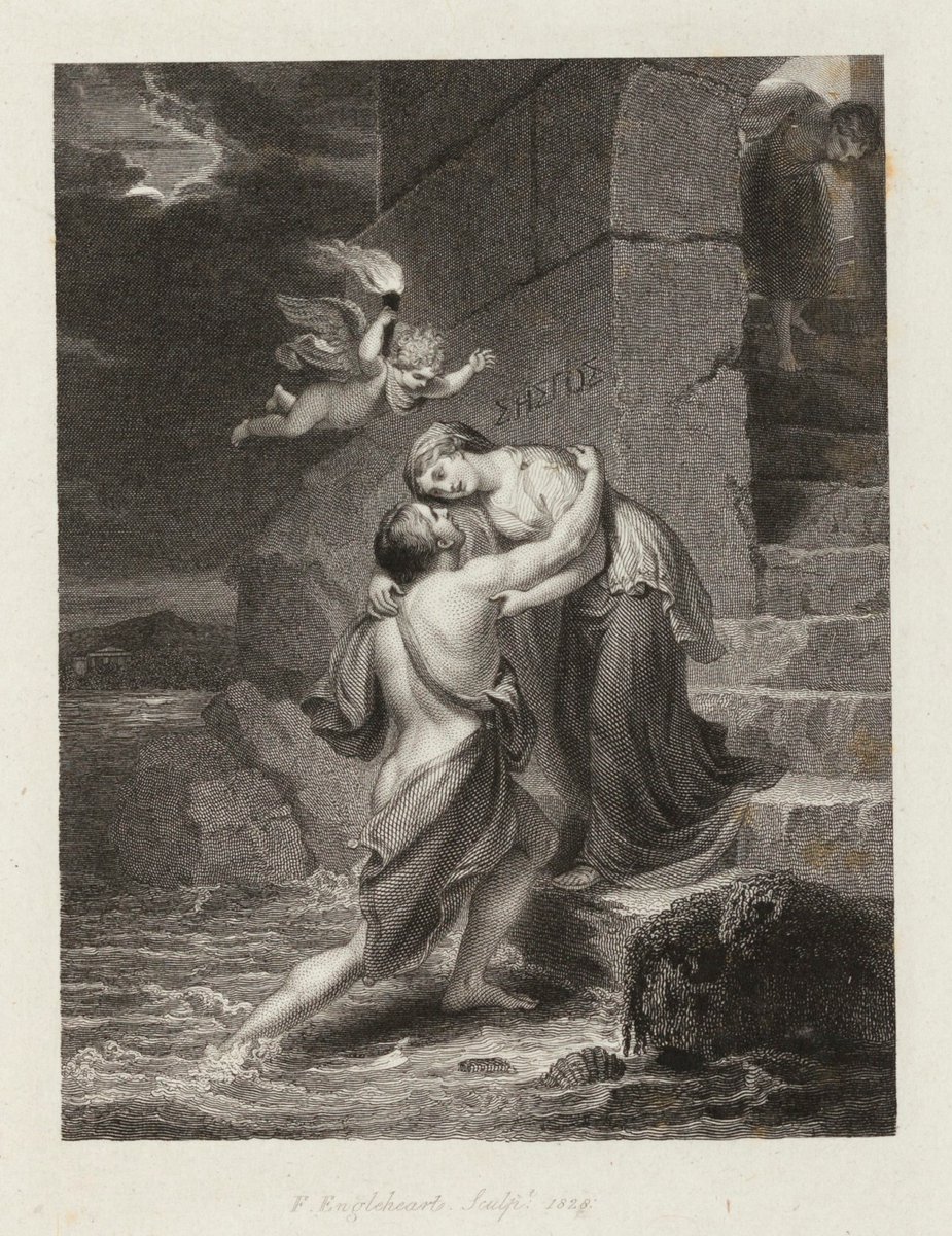 Daily Odysseus — 🏹 tweet media