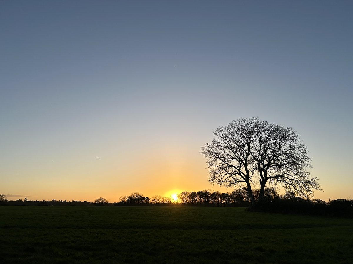 WoodlandNomad's tweet image. Life is all about perspective. Spending time out here could be an escape from everything else, or it could simply be taking the time to appreciate nature. Either way the views are nice 😊
#TreeClub🌳