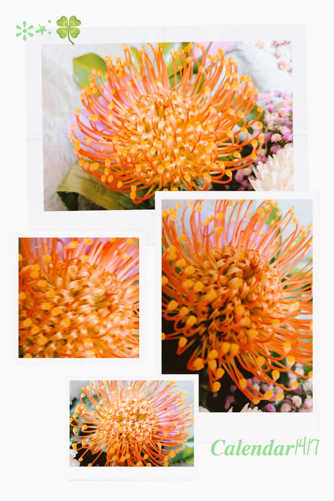 水色@多忙のため対応おくれております ページ メンズビオレ 顔もふけるボディシート クールタイプ 28枚（262mL