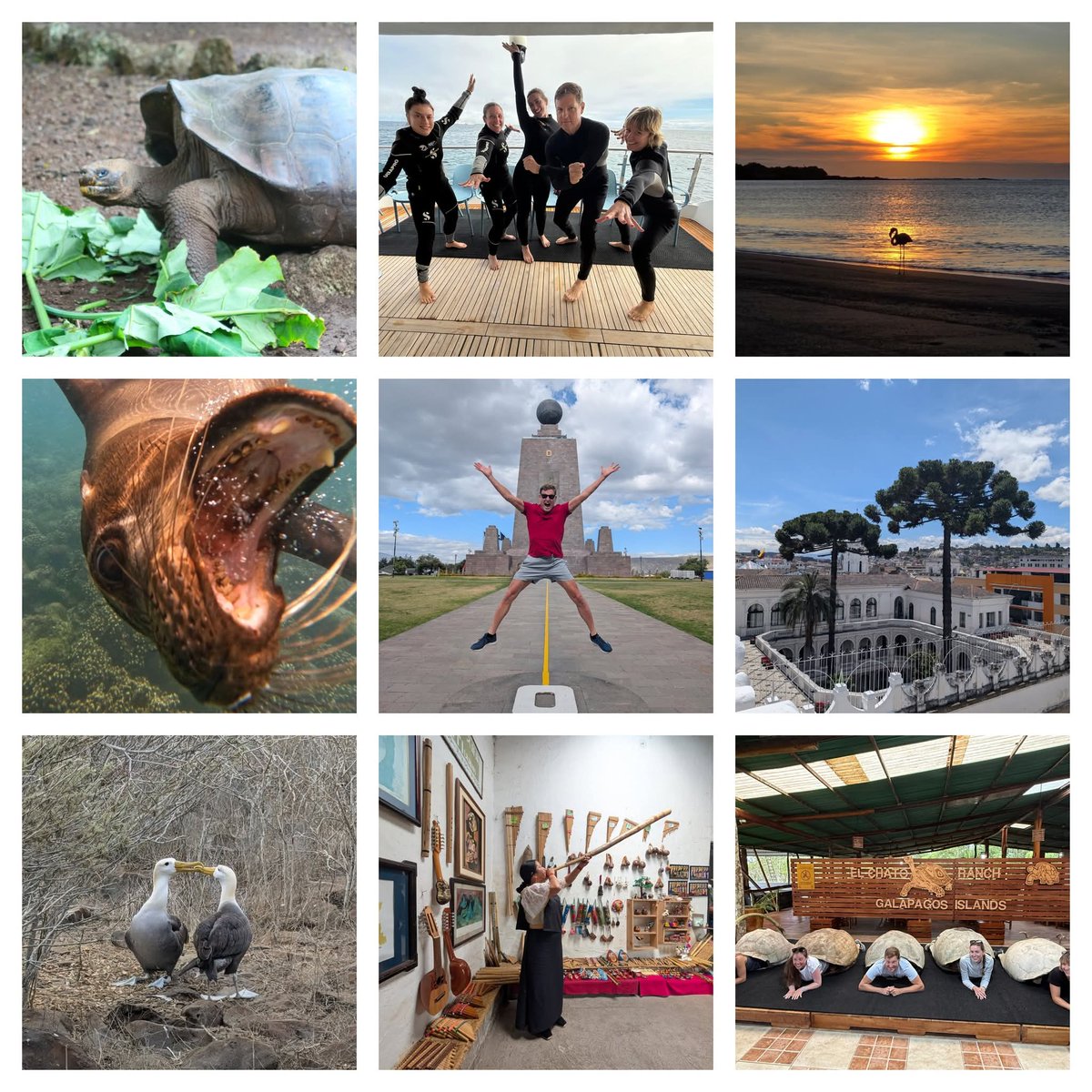JourneyActive's tweet photo. My blog on the amazing Ecuador and Galapagos Adventure! 
 https://t.co/h1CH3gEzha https://t.co/nvWmD7sMnN
