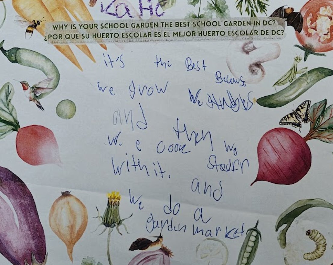 Mundo Verde PCS tweet media