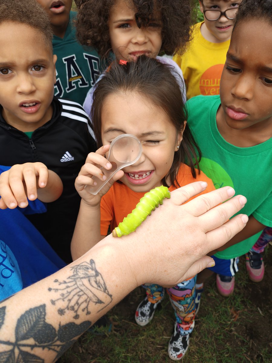 Mundo Verde PCS tweet media