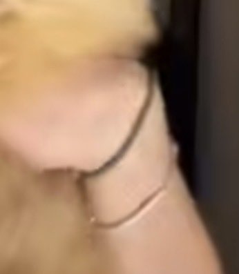 herkesin gördüğü              benim gördüğüm 
#metsu