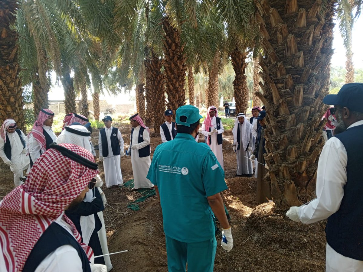 جمعية أصدقاء شجرة النخلة tweet media