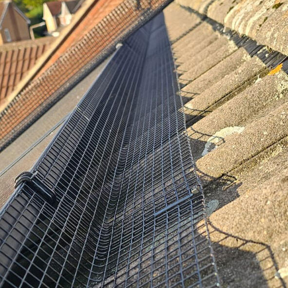 ExpelBird's tweet image. Pigeon Proofing Solar Panels in Mansfield. We got the request to come out and install our super-strong weld-mesh around these solar panels, after a bit of pigeon trouble... #BirdProofing #Nottingham expelbird.co.uk/pigeon-proofin…