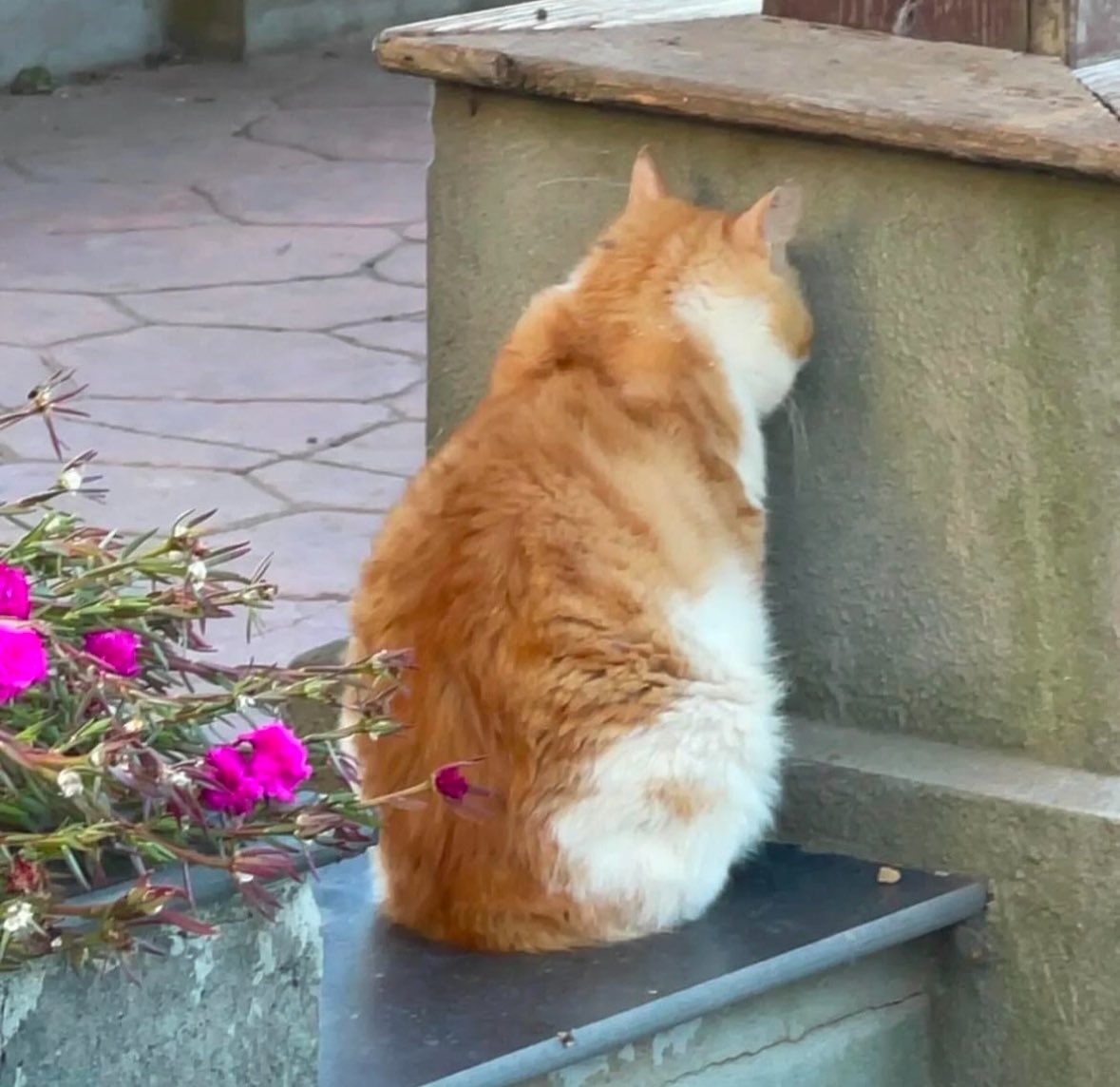 BurklowMinaTk's tweet image. She enjoys smoothies and laughter after gym, her energy glowing brighter than her workout sweat. #PostWorkout 🥤