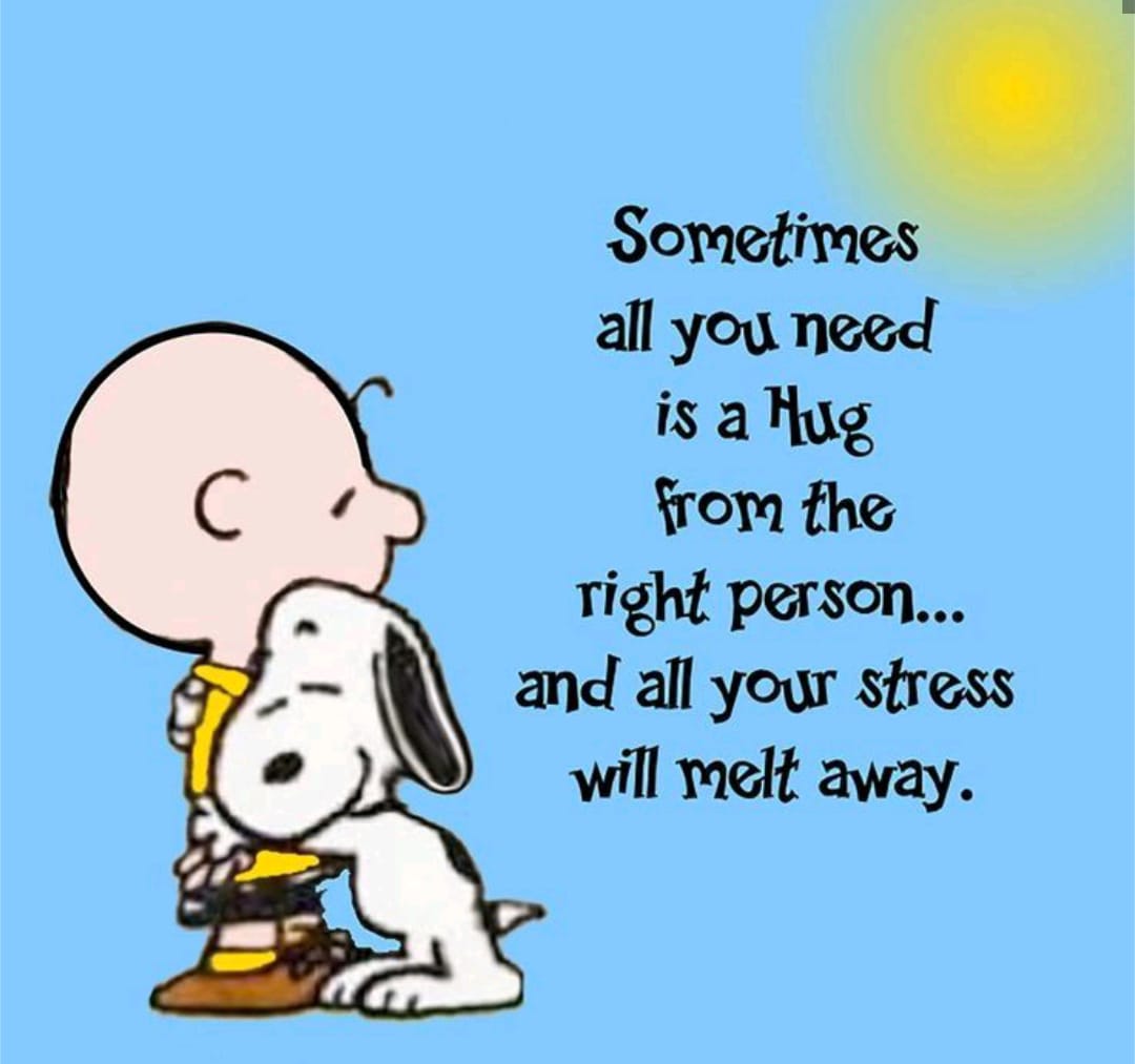 thechilosopher2's tweet image. #StarAcademyleLive 
#StarAcademy