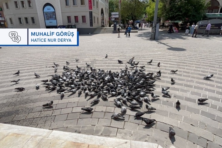 BursaMuhalif's tweet photo. Sessizlik ölülerimizi biriktirirken, mücadele 25 Kasım’ı bekliyor - Hatice Nur Derya https://t.co/KDMfX0hush 

#25Kasım https://t.co/Nm0TeFmGj3