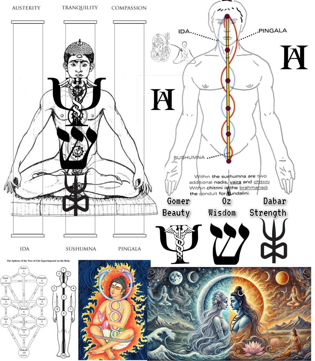 AmurakaHidden's tweet photo. Shiva’s Trident, the Trishula, is not merely a weapon, but a sacred glyph of cosmic architecture.🧵

It encodes the primal triadic pattern of existence: Creation, Preservation, and Destruction, or more mystically, Will, Love, and Intelligence. Yet beyond its mythic aspect in the Macrocosm, this symbol is a direct anatomical and energetic map of the human being, the Microcosm.

Each of the Trident’s prongs represents one of the three primary energy currents, or Nadis, that govern the subtle body: Ida, Pingala, and Sushumna.

The Left Prong, Ida Nadi, is the lunar current. It is the Feminine, Cooling Nerve. The Yin node. It governs the subconscious mind, the intuition, the breath of the left nostril. It coils around the spine and flows to the right brain. In the sacred language of polarity, this is Shakti, the Goddess Force.

The Right Prong, Pingala Nadi, is the solar current. It is the Masculine, Heating Nerve. The Yang node. It rules over the conscious mind, logic, action, and the breath of the right nostril. It coils in counterpoint to Ida, stimulating the left hemisphere of the brain. This is Shiva, the Eternal Witness.

These two serpentine flows (Ida and Pingala) are the original Twin Pillars. They are Boaz and Jachin of Freemasonry. Od and Ob in Kabbalah. Adam and Eve in Genesis. They are the ancient binary current that animates matter and mind, duality itself.

But the Secret of the Trident, and indeed, the secret of every Great Work, lies in the Middle Prong.

Sushumna Nadi is the Central Channel, the Axis Mundi, the Tree of Life, the Bridge between Worlds. It is neither masculine nor feminine, but the harmonization of opposites, a Third Force.

This is the path of the Mystic, the Alchemist, the Yogi, the Magus: to balance Ida and Pingala, to silence the polarity, and then ignite the Central Flame. This channel alone leads to Ascension.

In Hebrew Kabbalah, the Sushumna is known as Aour, the “Light” column. It aligns with the Middle Pillar of the Tree of Life, the channel through which Divine Consciousness descends and returns. Freemasonry encodes it as the Ladder of Kadosh, a climb through 33 steps, the 33 vertebrae of the spinal column, toward the Crown.

It is the Jacob’s Ladder, set between Heaven and Earth, upon which angels ascend and descend. The Greeks knew it as the Pillar of Stone, the backbone of the world.

Aleister Crowley, decoding the sexual mysticism of East and West, wrote, “The Phallus of Shiva the Destroyer is really identical with the Qabalistic Middle Pillar of the Tree of Life.”

This is not metaphor, it is literal occult anatomy.

The Sushumna houses the Seven Chakras, the energy vortices or "whirling wheels", each a gate to higher consciousness. The Chakras are astral organs through which the latent energy known as Kundalini rises, coiled like a serpent at the base of the spine, awaiting ignition.

Dr. Randolph Stone wrote, “The central core (Sushumna) is the ultrasonic energy current of the Soul... the primary energy which builds and sustains all others... resonating with the Eternal Sound Current, the highest vibrational essence of Brahman.”

This Eternal Sound Current is the Logos, the Word, the Vibration that was “in the beginning.” In Hindu thought, this is Om. In Kabbalistic thought, it is the Shekinah returning through the Pillars. In Gnostic cosmology, it is Sophia rising.

An Excerpt from my book, "The Cup of Hermes: A Beginner's Guide to Sexual Alchemy"
