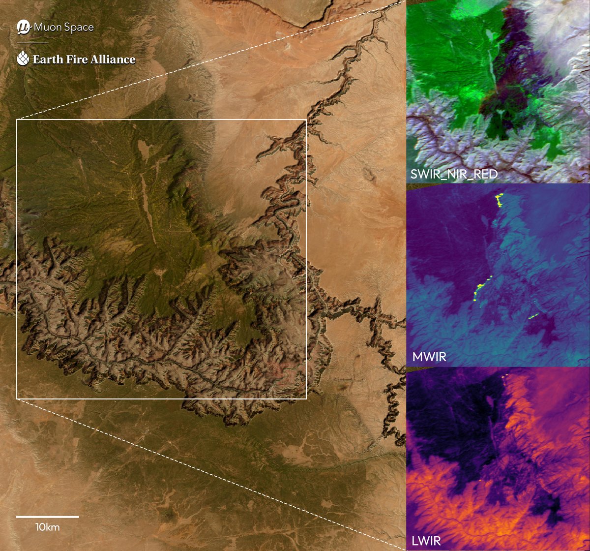 Earth Fire Alliance tweet media