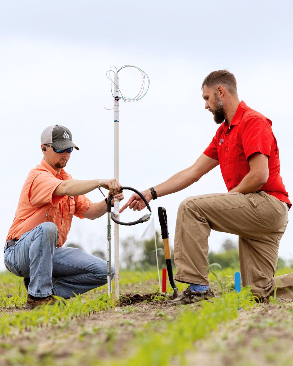 UGA_CollegeofAg's tweet image. Our researchers are advancing #precisionagriculture tools like sensors, GPS, drones and other technologies to drive smarter, more sustainable production decisions that maximize yield while minimizing waste and cost. 🔗 ugacaes.org/4oMHeeF
