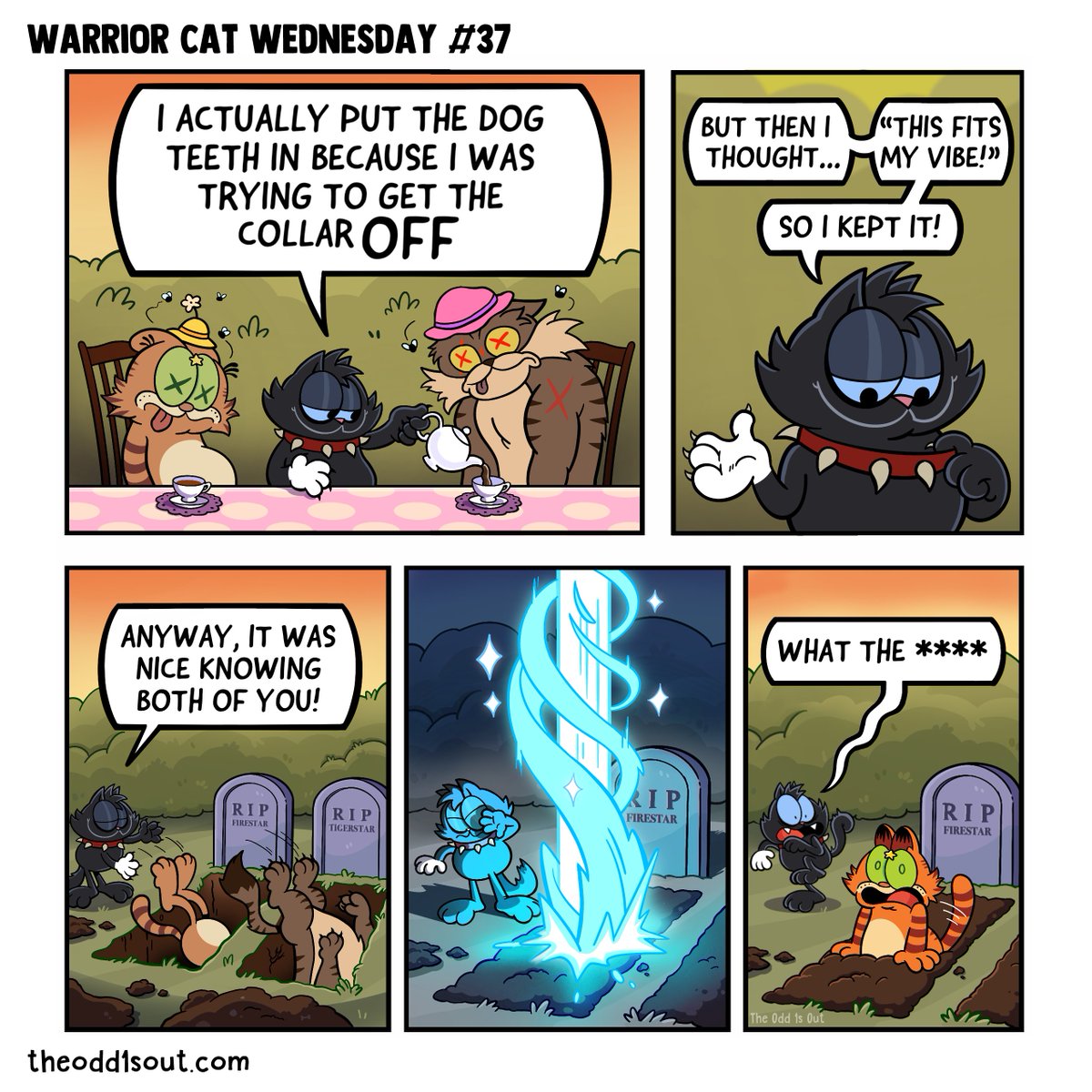 Wake up! It's Warrior Cat Wednesday!