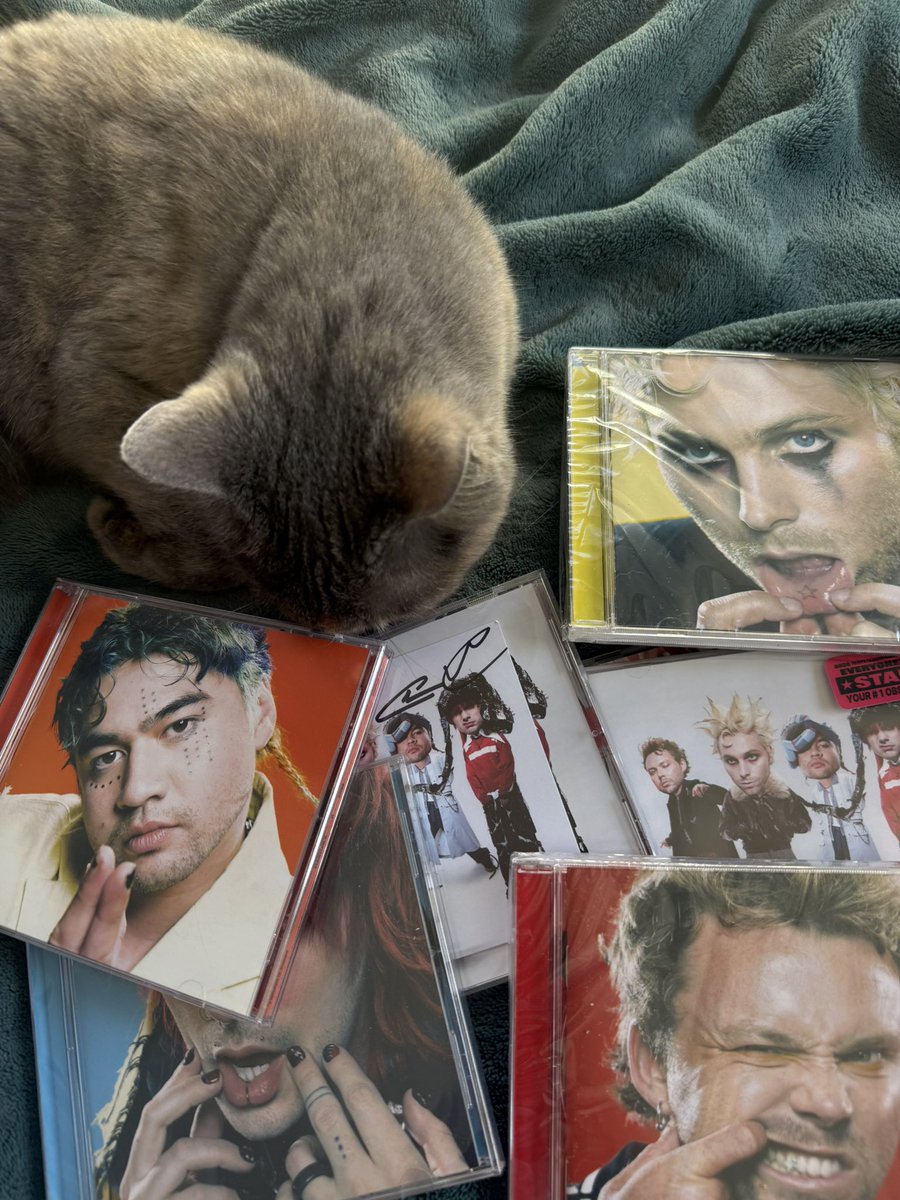 drez5sos's tweet photo. everyone’s a star is lizzie approved! https://t.co/nf6i2YCBII