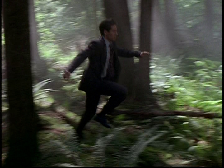 greatest screen grab of all time