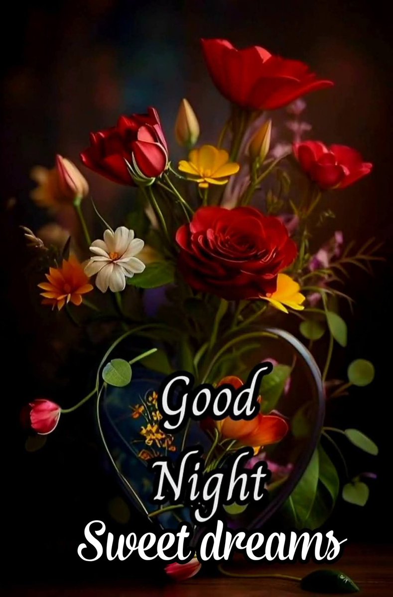 Tara_garkoti's tweet image. 🙏🌻Good night💤😴🌻✨🌟