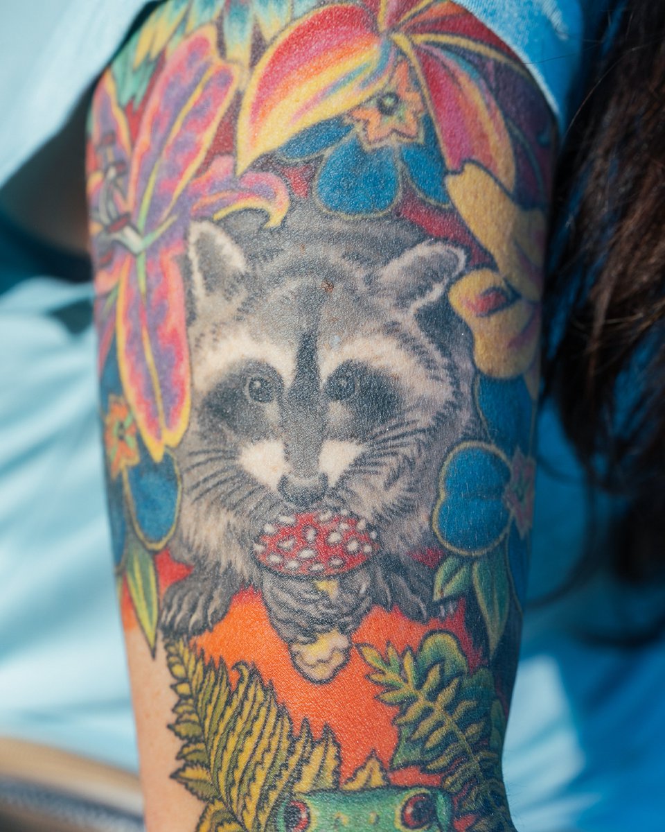 Mempho Music Festival tweet media