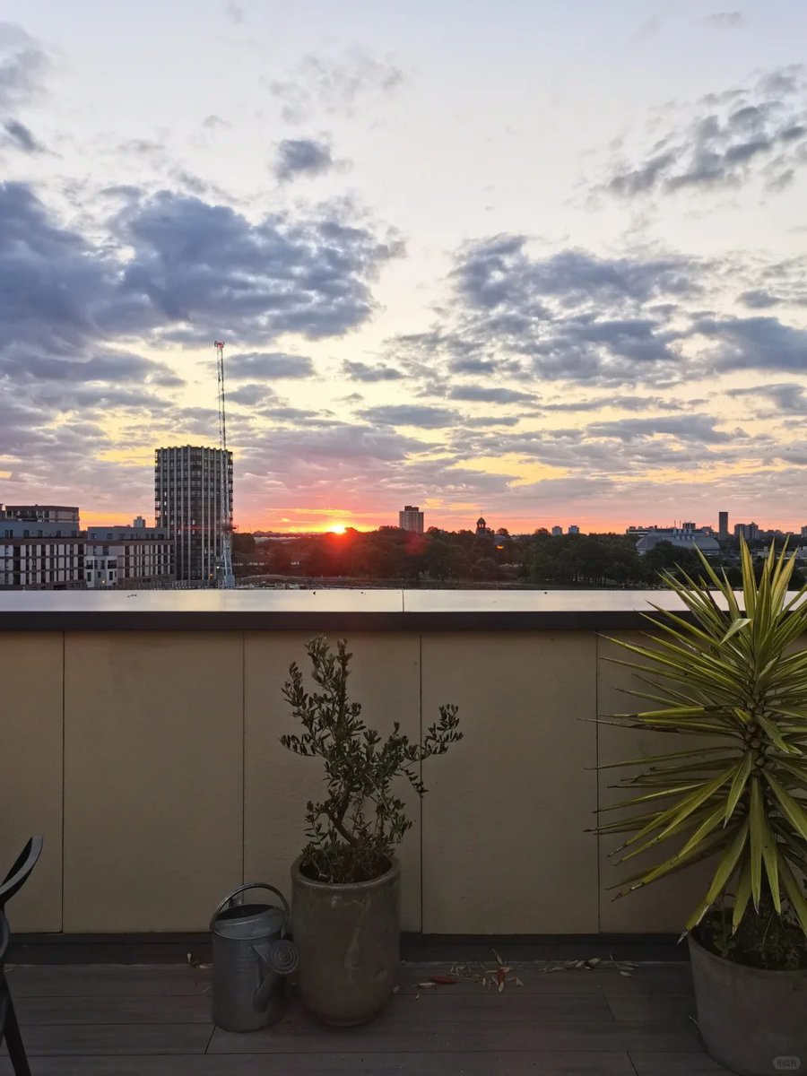 Ruby08855's tweet image. Morning light creeps in, the world slowly wakes 🌅☕. A fresh start, a clear mind, and endless possibilities ahead ✨🌿. Breathe in the calm, sip the warmth, and smile into the new day 😌🌞. Hello, morning magic