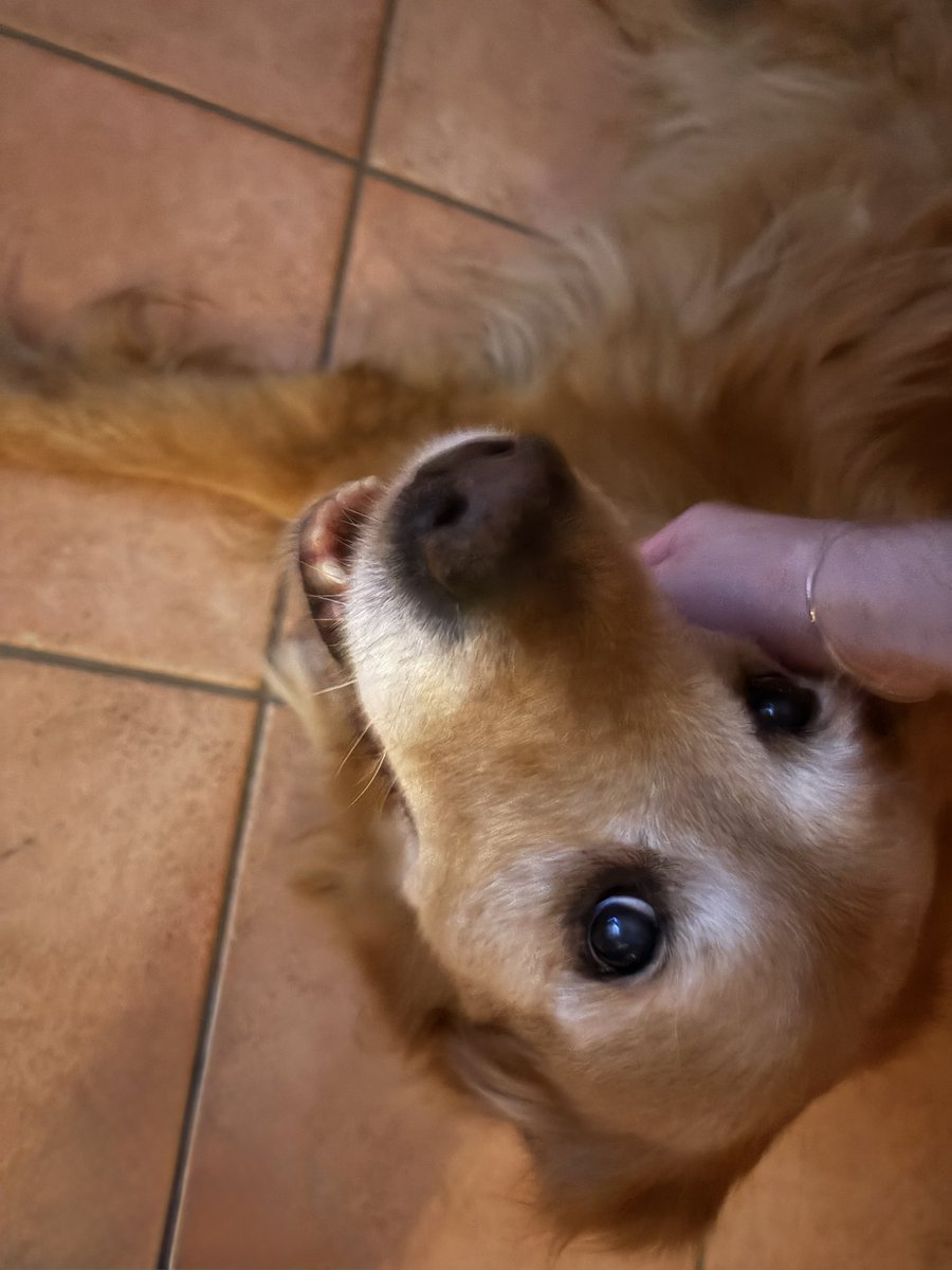 The only passenger princess I’m letting in the porsche