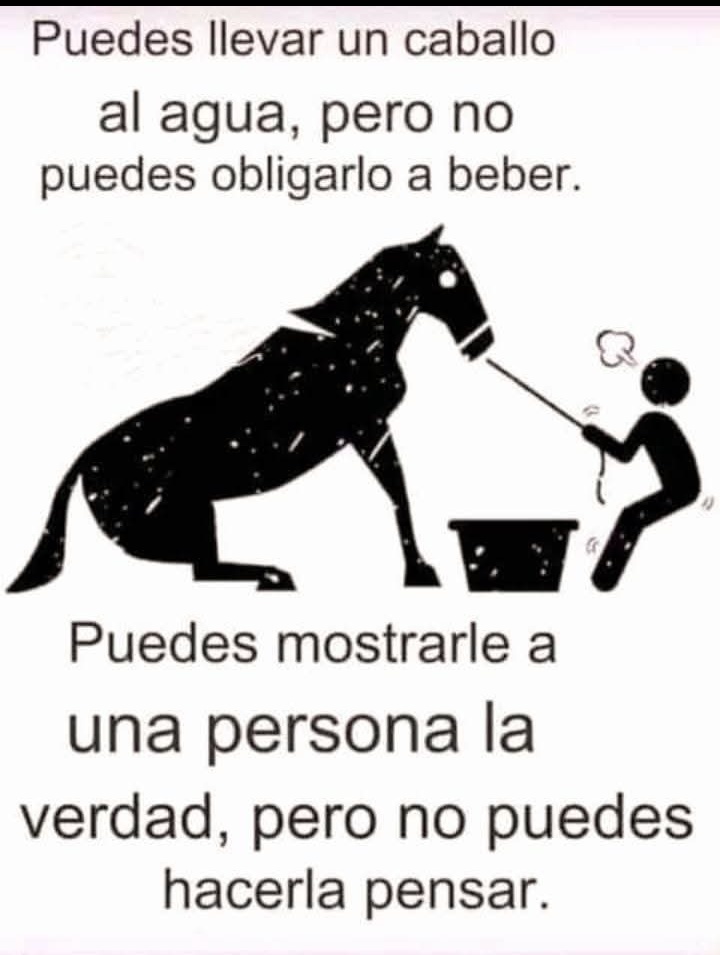 OFM2020's tweet image. Totalmente..