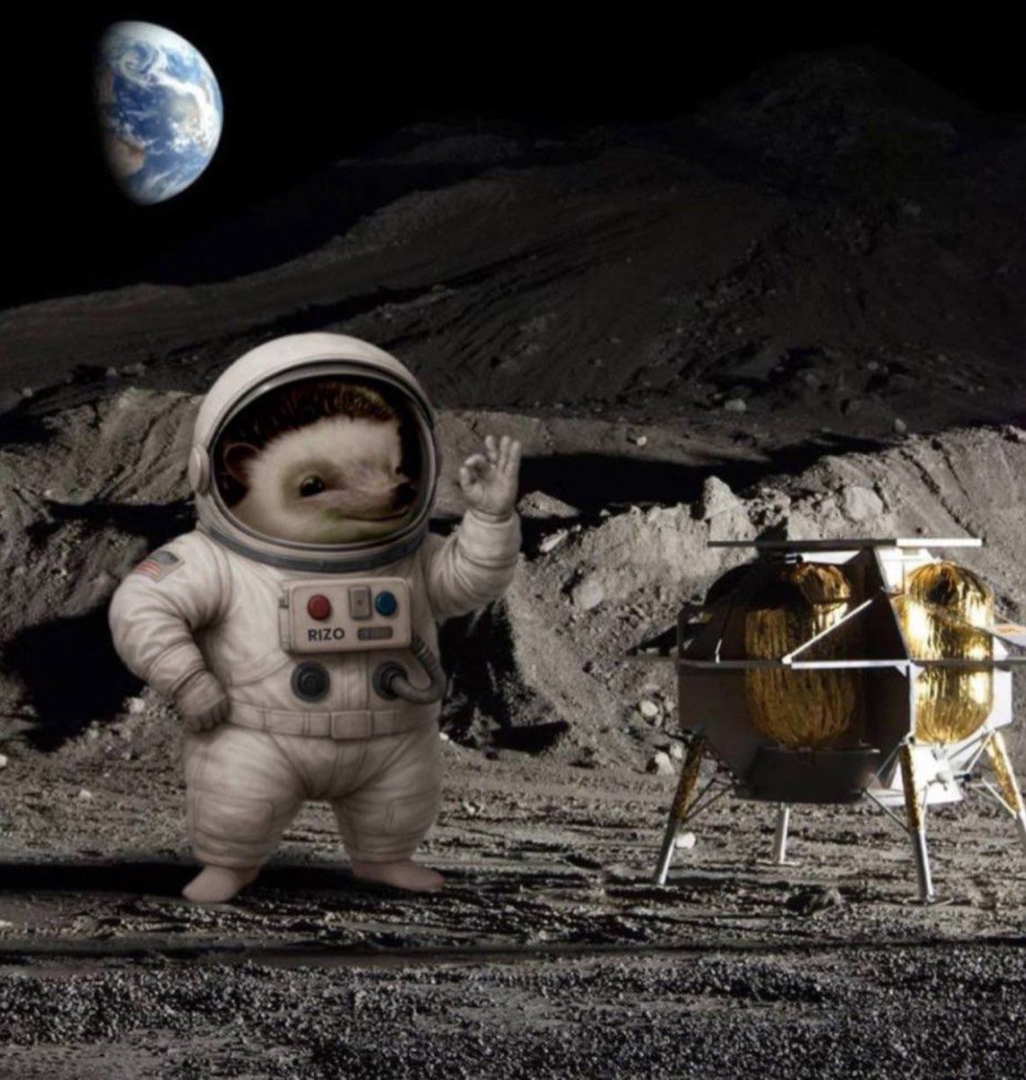 MrMumbles. HaHa Yes! 🦔🪖 tweet media