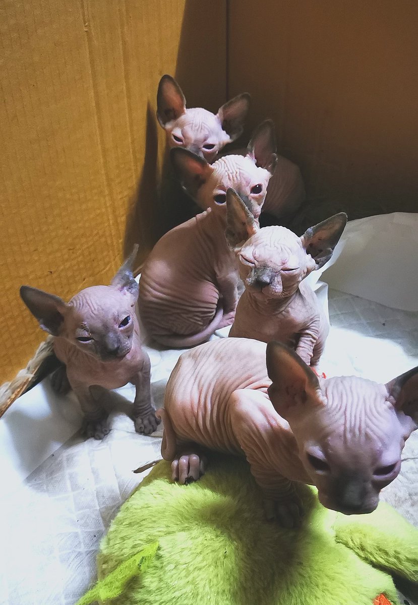 หาบ้านนนน