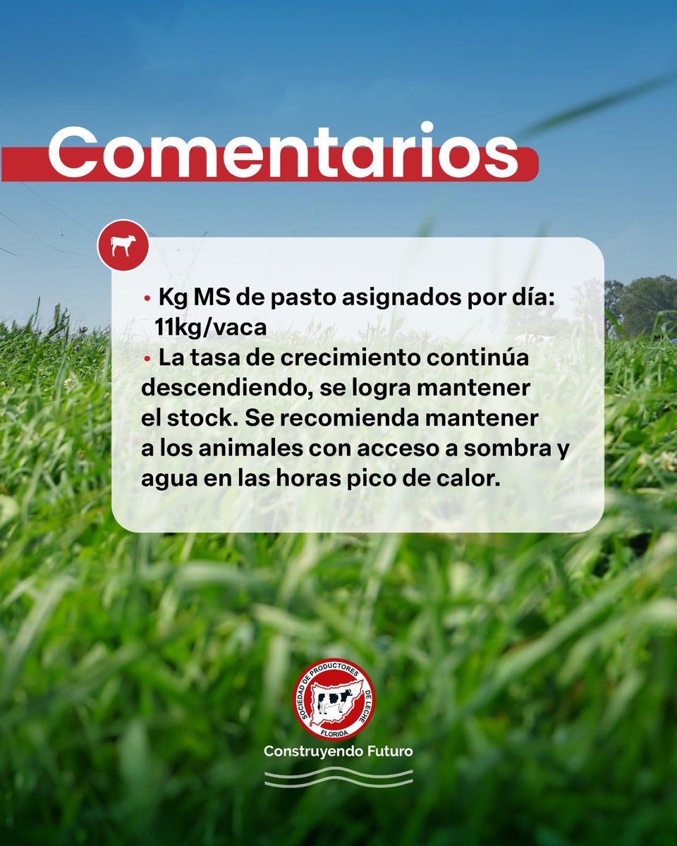 _splf's tweet image. Info #planverde
Gestión del pasto 🌱
🗓️ 01/11 al 14/11

#splf #servicios #planverde #propasto