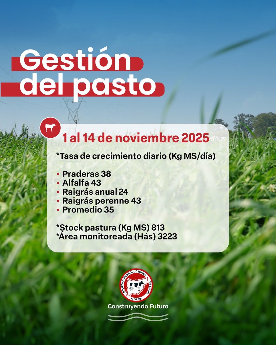 _splf's tweet image. Info #planverde
Gestión del pasto 🌱
🗓️ 01/11 al 14/11

#splf #servicios #planverde #propasto